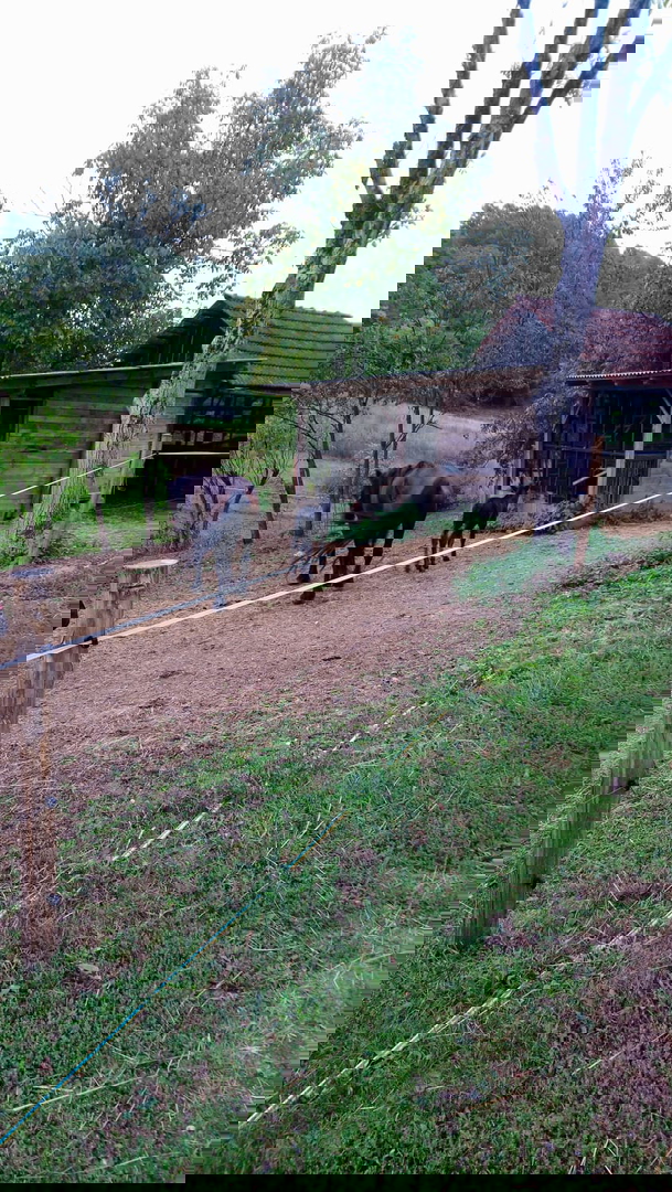 OGROMNA POSEST - ZA INVESTICIJO, TURISTIČNE NAMENE