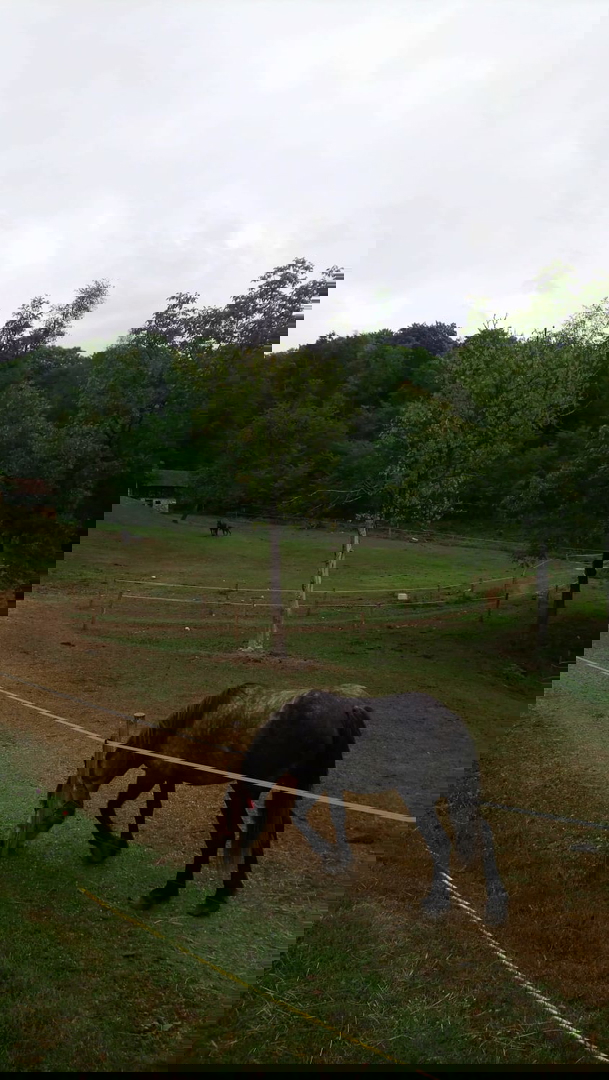 OGROMNA POSEST - ZA INVESTICIJO, TURISTIČNE NAMENE