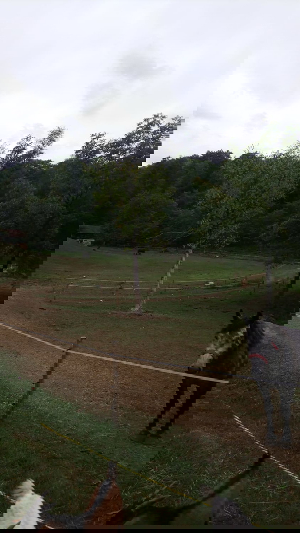 OGROMNA POSEST - ZA INVESTICIJO, TURISTIČNE NAMENE