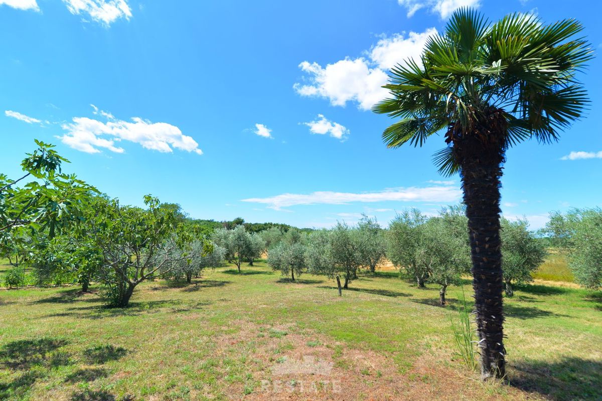 hiša v sredozemskem slogu, brez pripadajoče parcele ali z njo