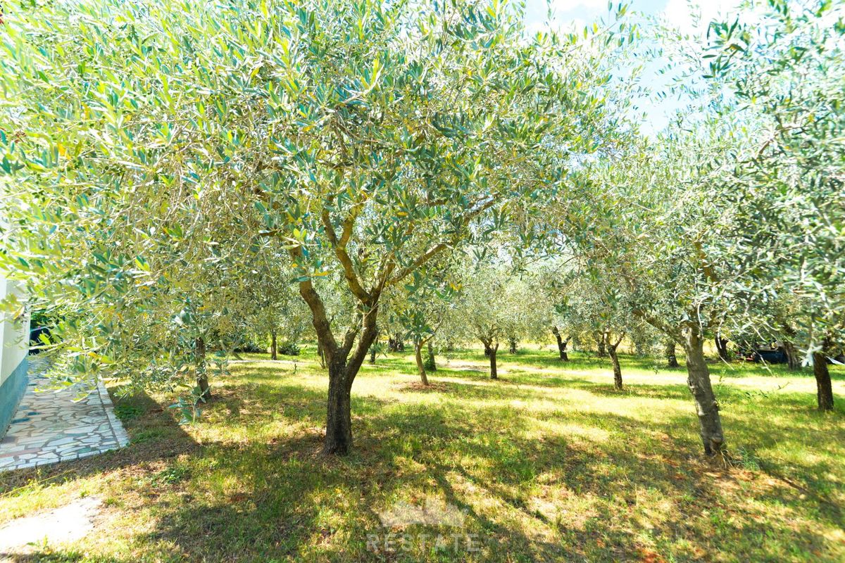 hiša v sredozemskem slogu, brez pripadajoče parcele ali z njo