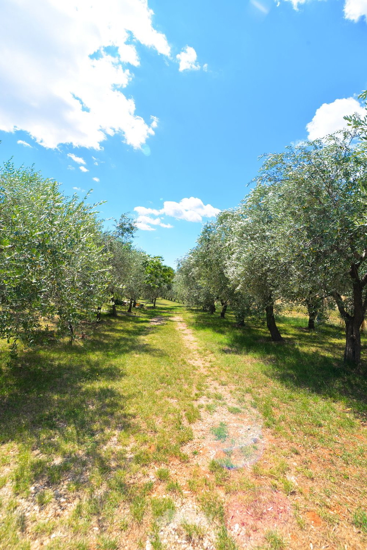hiša v sredozemskem slogu, brez pripadajoče parcele ali z njo