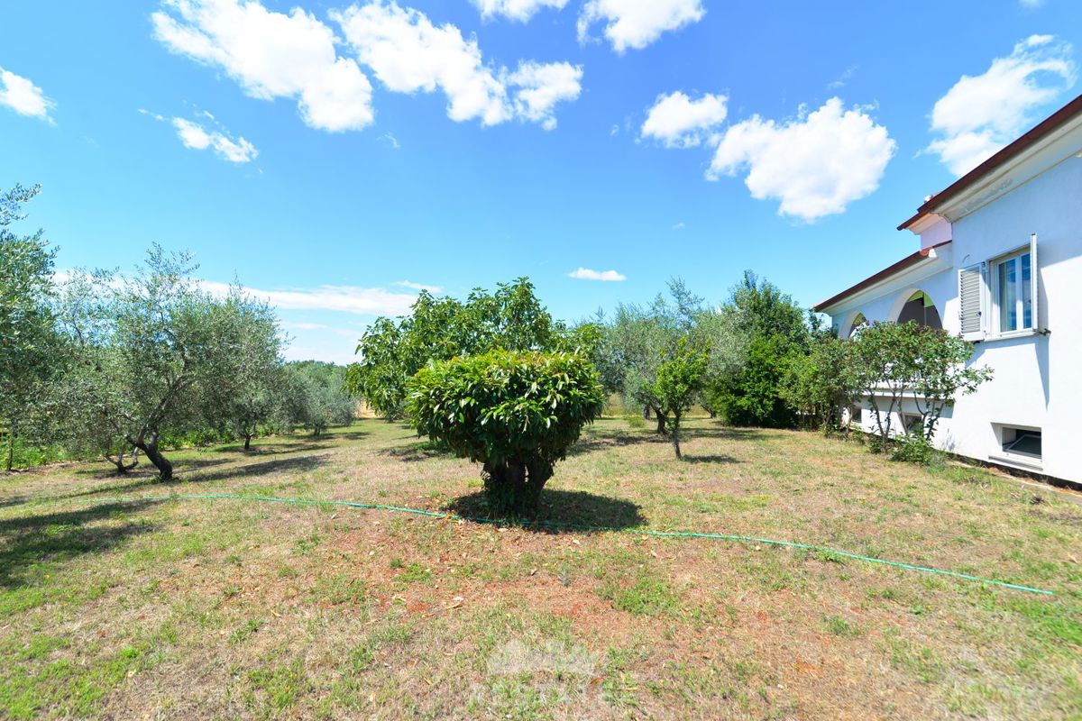 hiša v sredozemskem slogu, brez pripadajoče parcele ali z njo