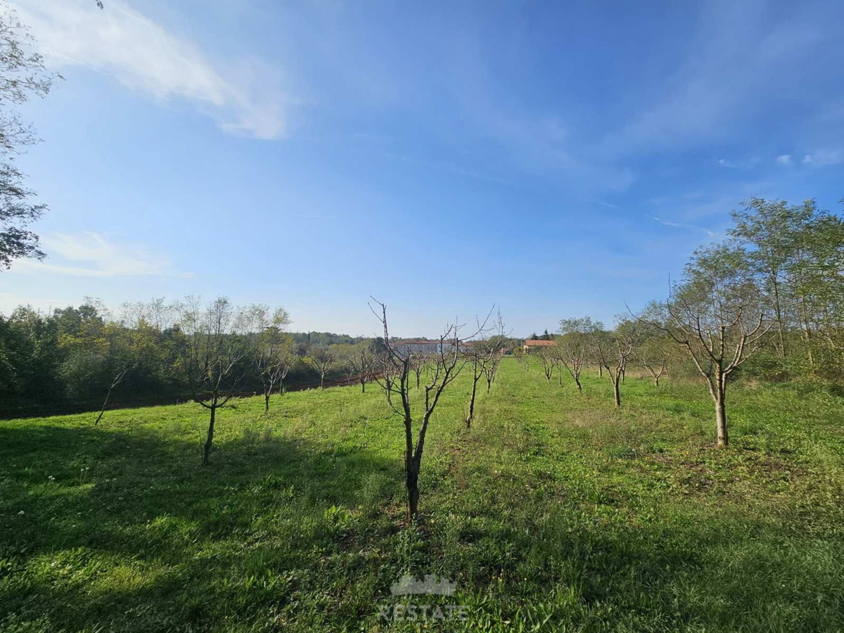 gradbeno (1200m2) + kmetijsko zemljišče