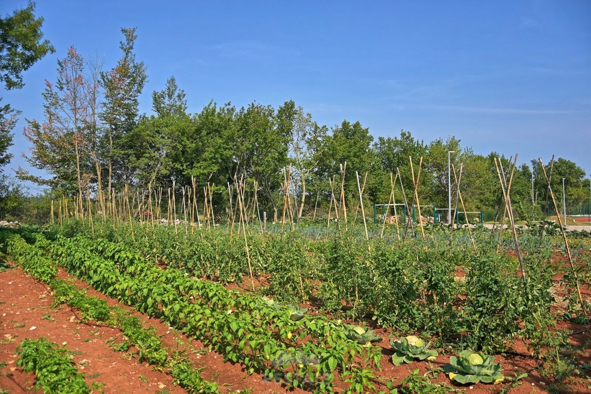 Čudovita rustikalna vila - ISTRA