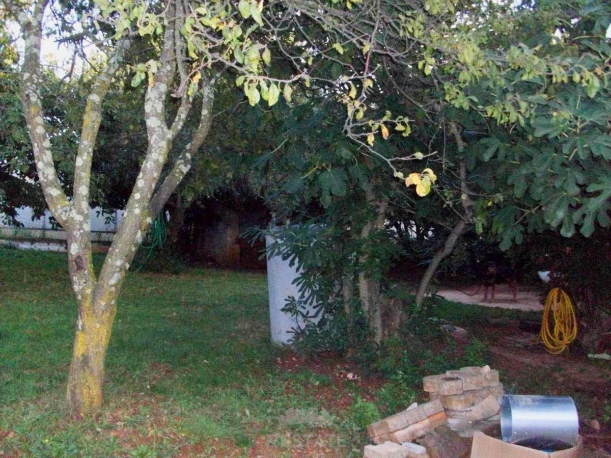 ODLIČNA INVESTICIJA