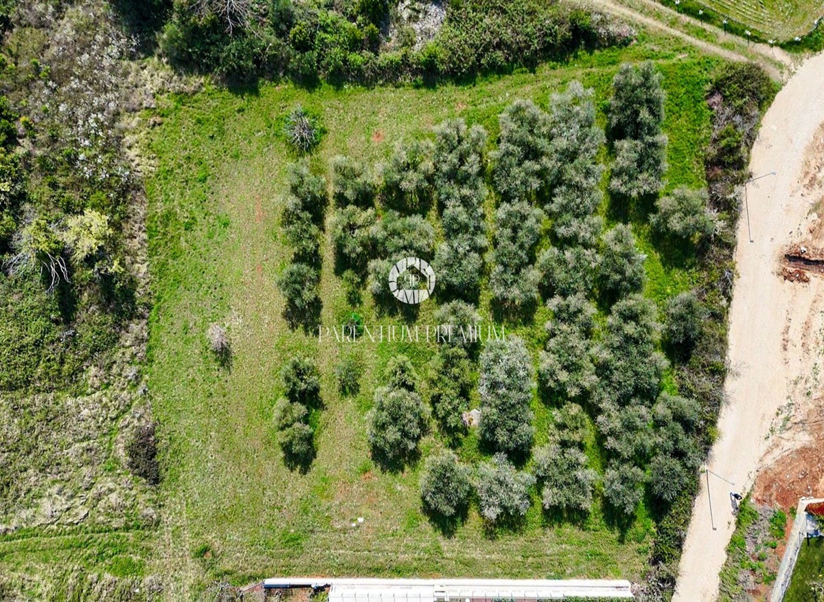 Zemljišče Novigrad