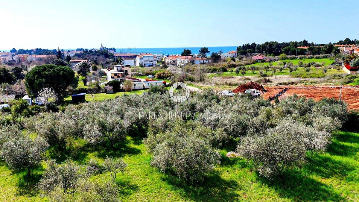 Zemljišče Novigrad