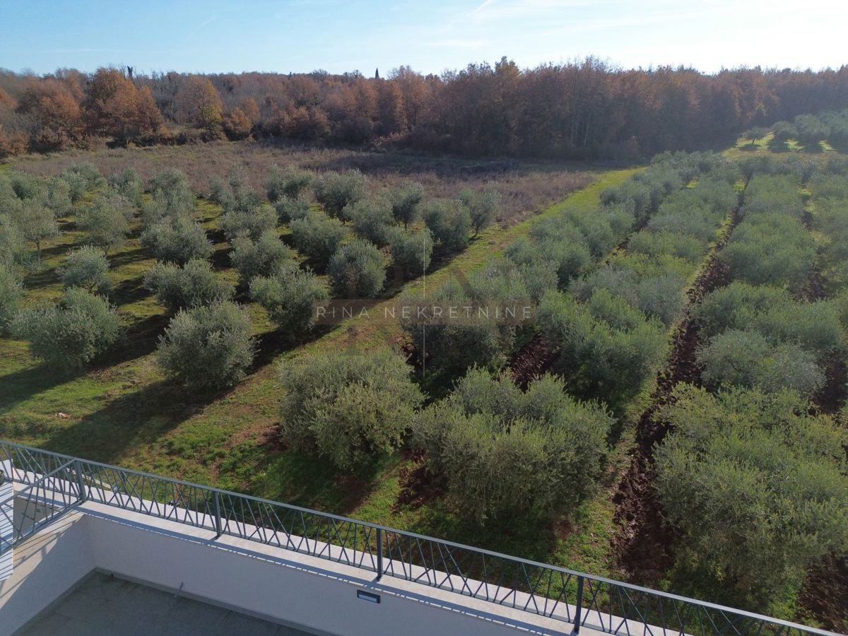 Istra – moderna hiša z bazenom, okolica Poreča