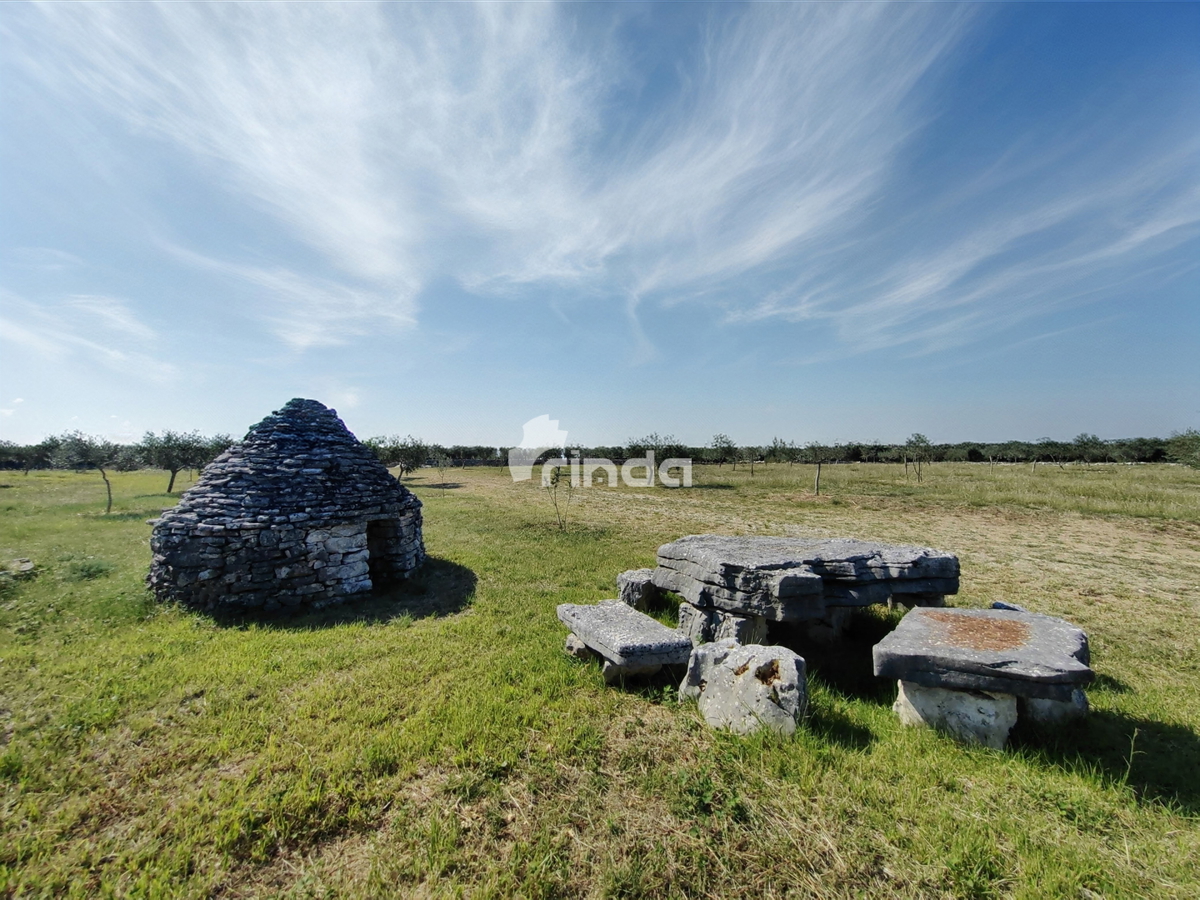 Velika kmetijska posest - Vodnjan - 13.841 m2