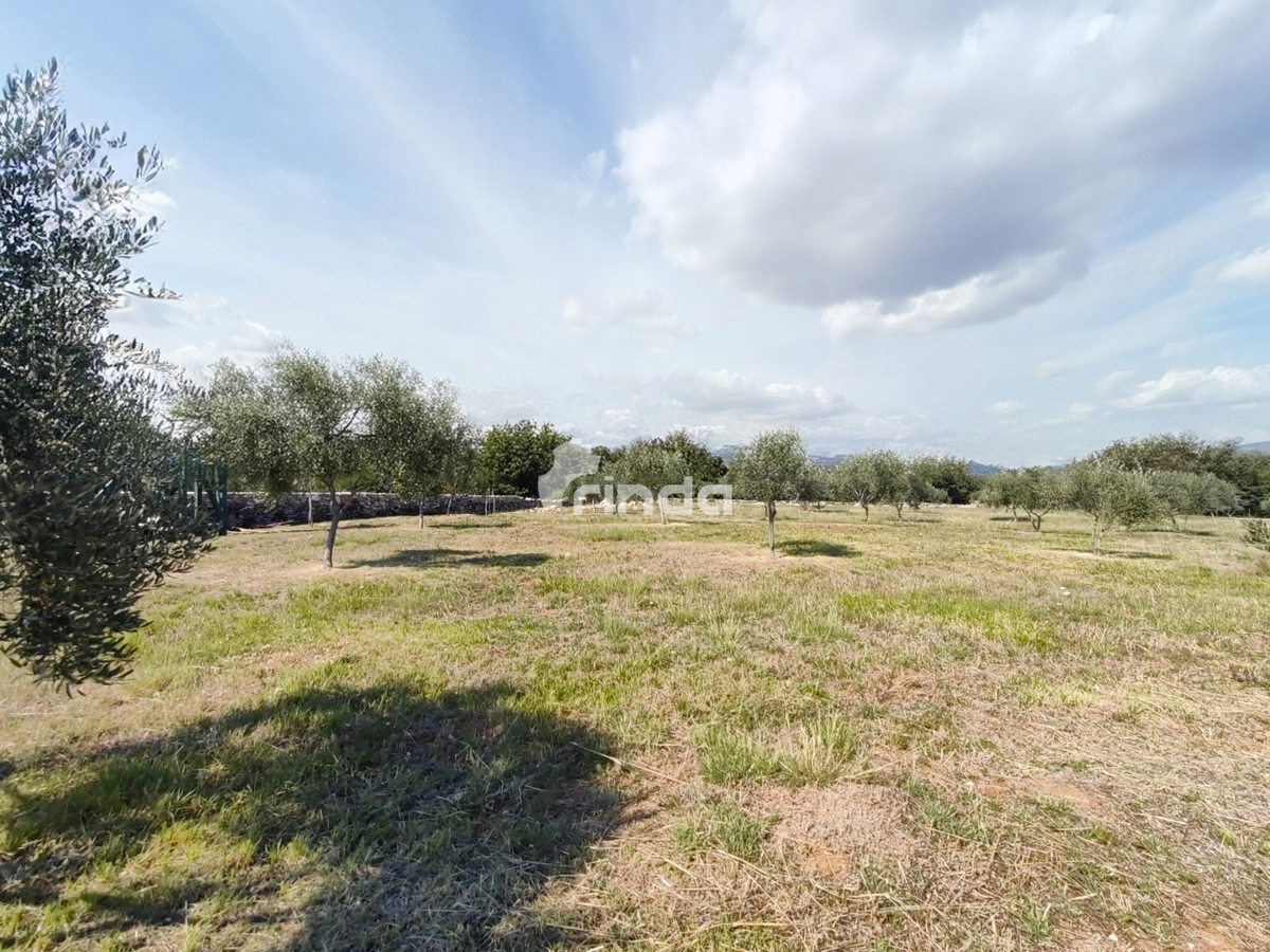 Velika kmetijska posest - Vodnjan - 13.841 m2