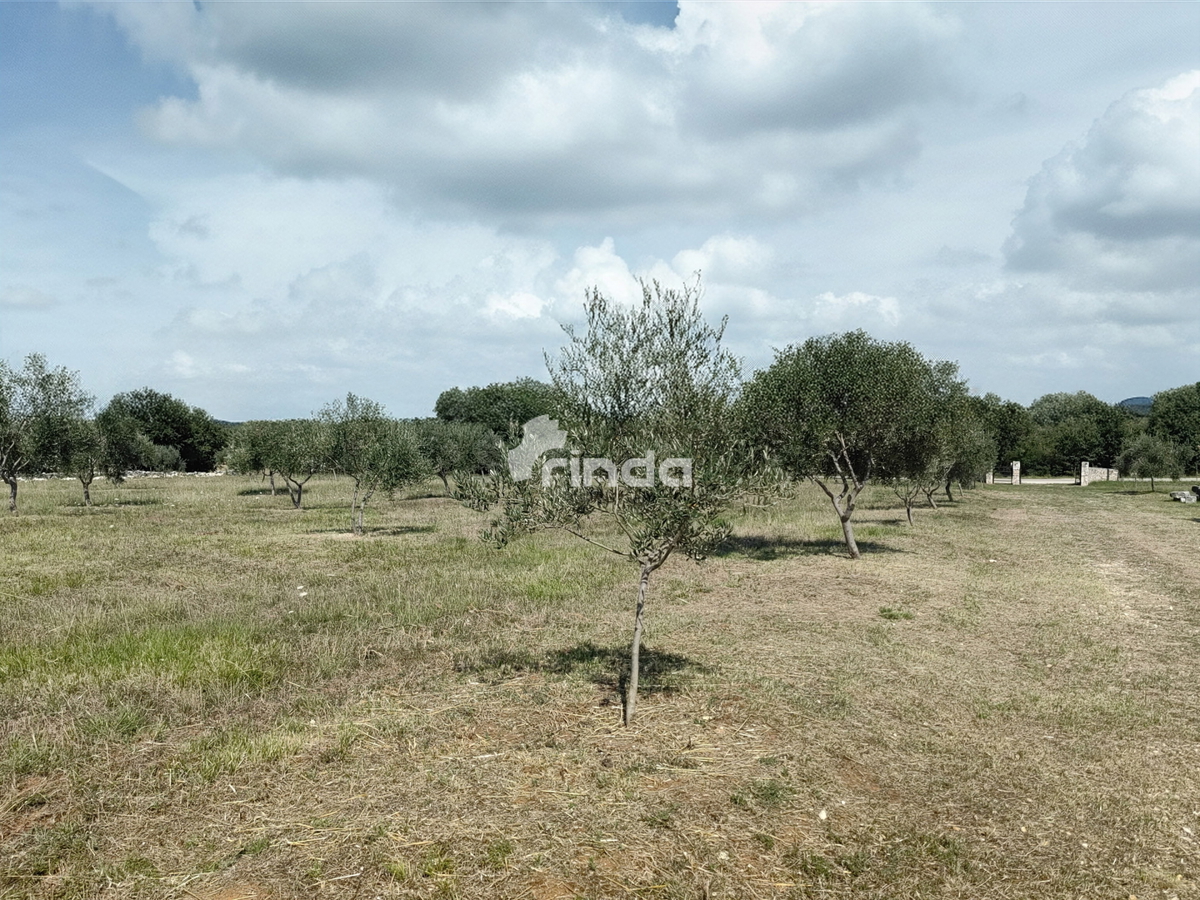 Velika kmetijska posest - Vodnjan - 13.841 m2