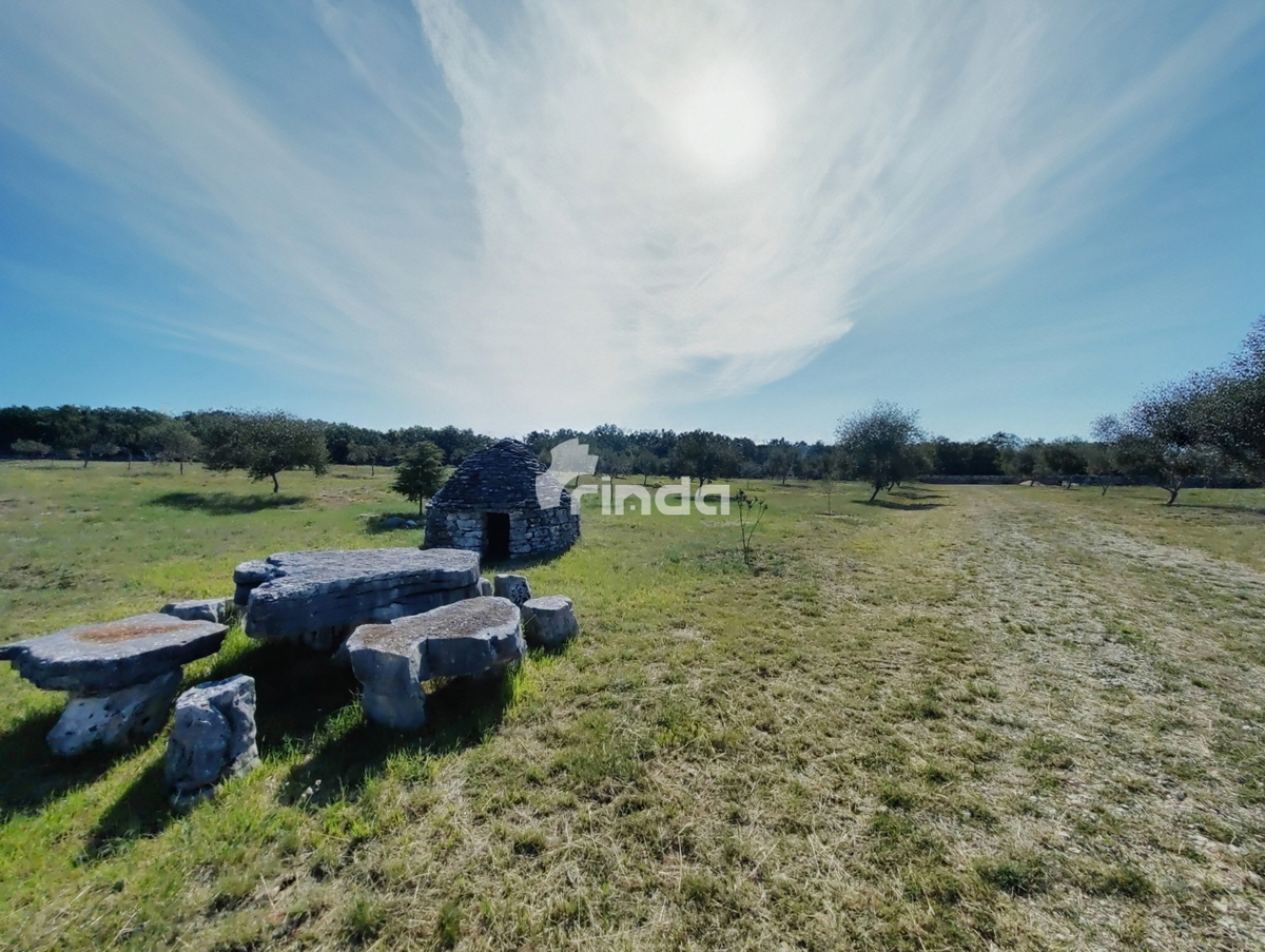 Velika kmetijska posest - Vodnjan - 13.841 m2