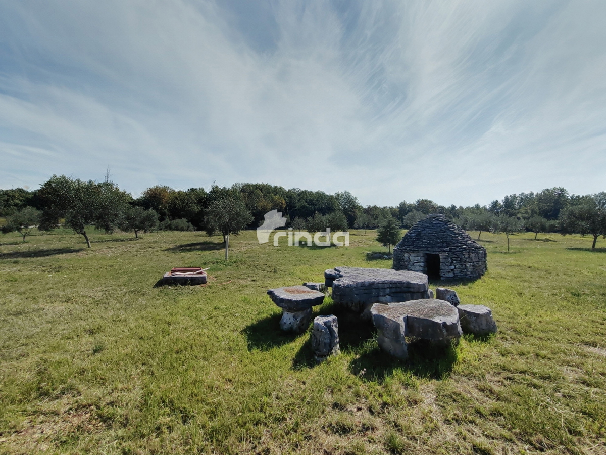 Velika kmetijska posest - Vodnjan - 13.841 m2