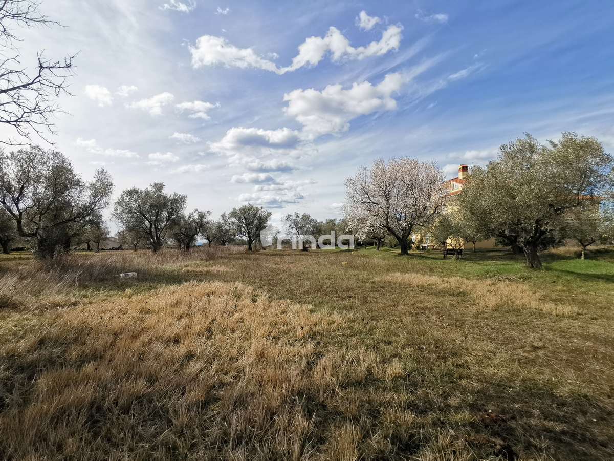 Gradbeno zemljišče - Rovinjsko selo - 1.500 m2