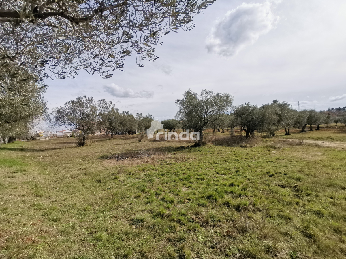 Gradbeno zemljišče - Rovinjsko selo - 1.500 m2