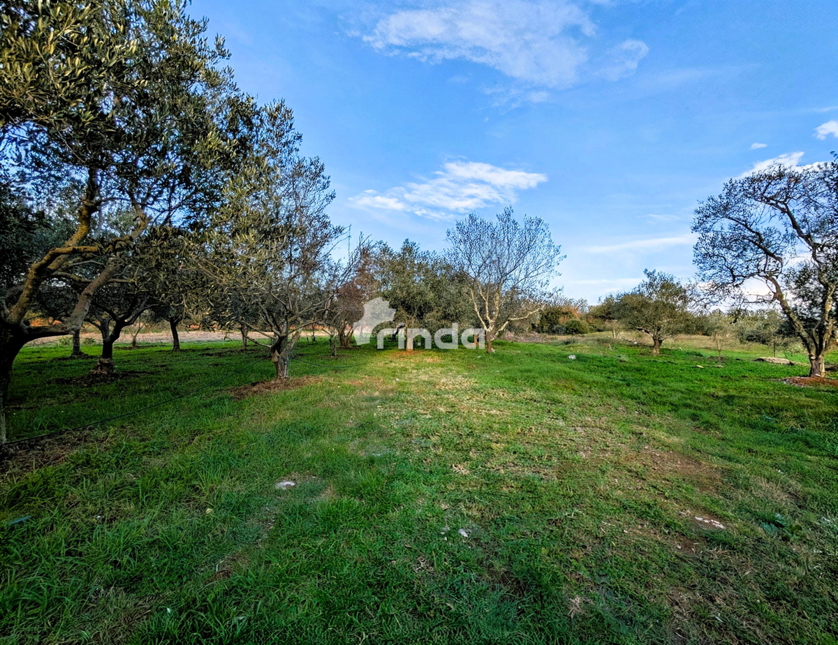 Hiša in kmetijsko zemljišče - Rovinj - 4500 m2 + (68 m2)