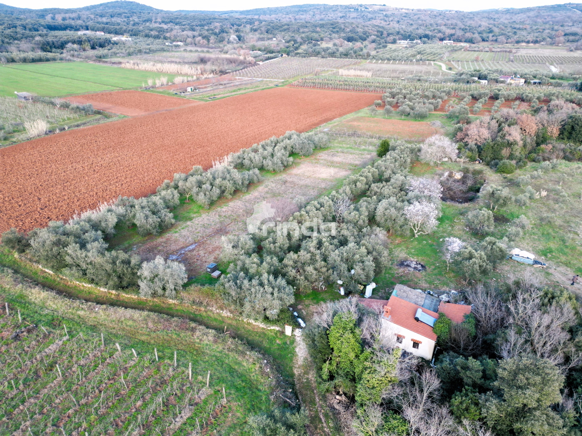 Hiša in kmetijsko zemljišče - Rovinj - 4500 m2 + (68 m2)