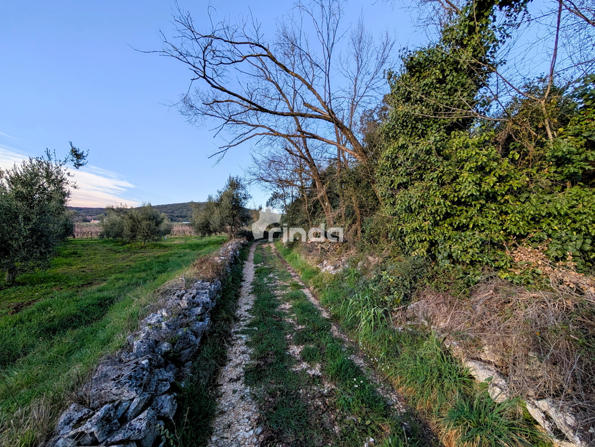 Hiša in kmetijsko zemljišče - Rovinj - 4500 m2 + (68 m2)