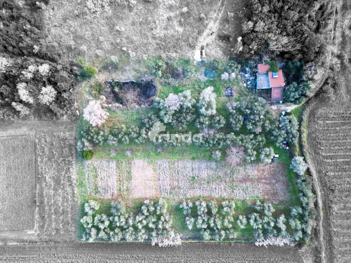 Hiša in kmetijsko zemljišče - Rovinj - 4500 m2 + (68 m2)