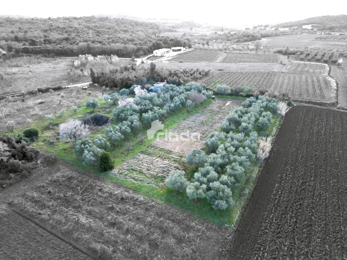 Hiša in kmetijsko zemljišče - Rovinj - 4500 m2 + (68 m2)
