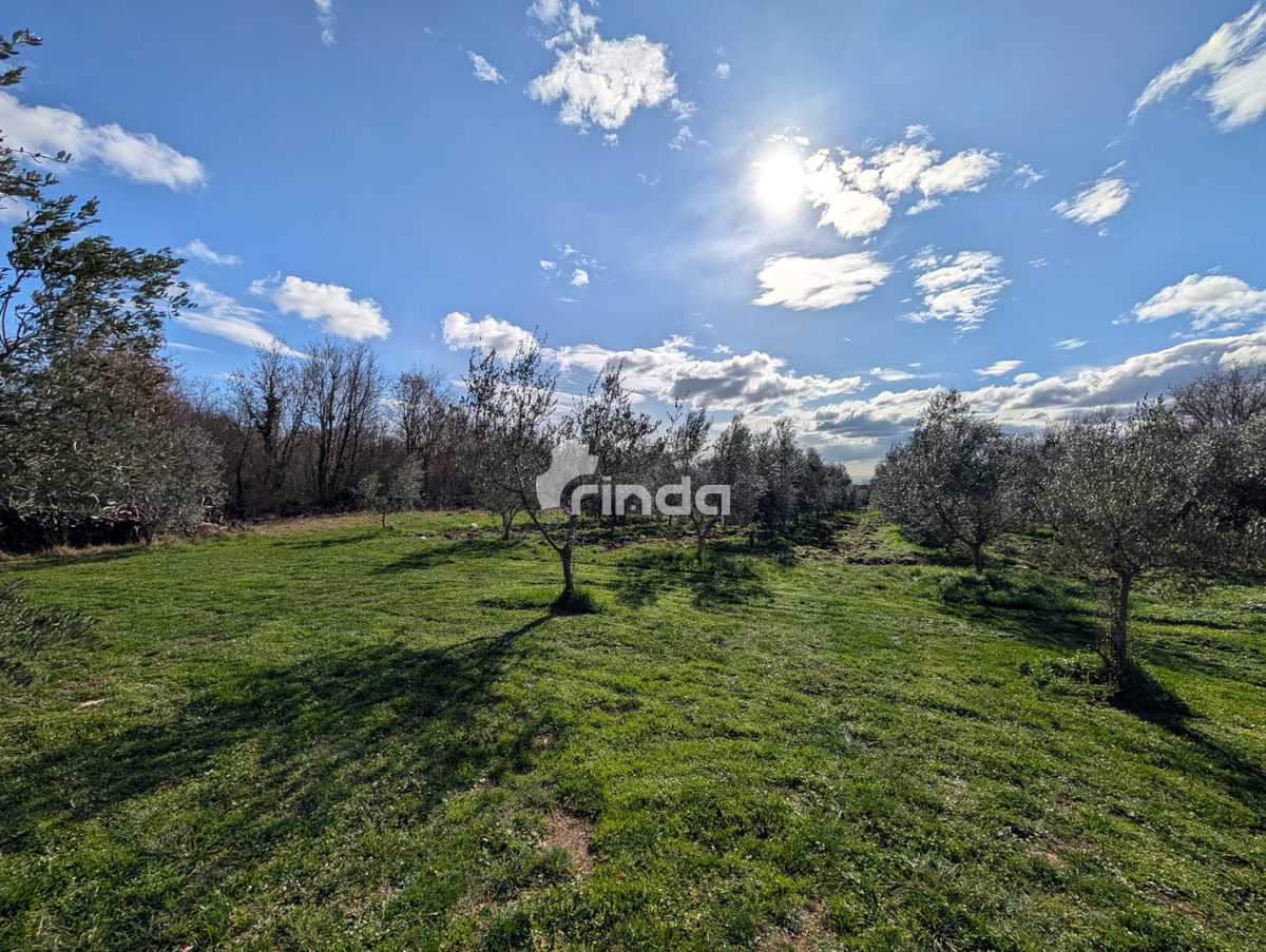 Kmetijsko posestvo z legalizirano hišo - 12.000 m2 + (36 m2)