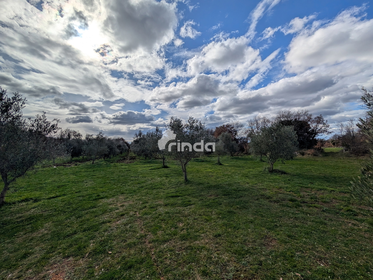 Kmetijsko posestvo z legalizirano hišo - 12.000 m2 + (36 m2)