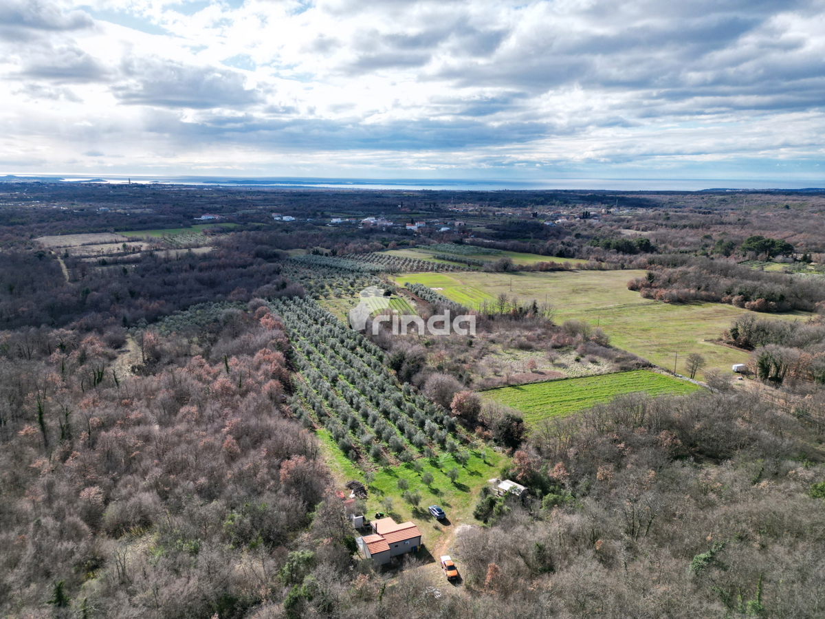 Kmetijsko posestvo z legalizirano hišo - 12.000 m2 + (36 m2)