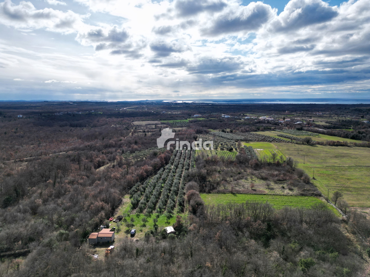 Kmetijsko posestvo z legalizirano hišo - 12.000 m2 + (36 m2)