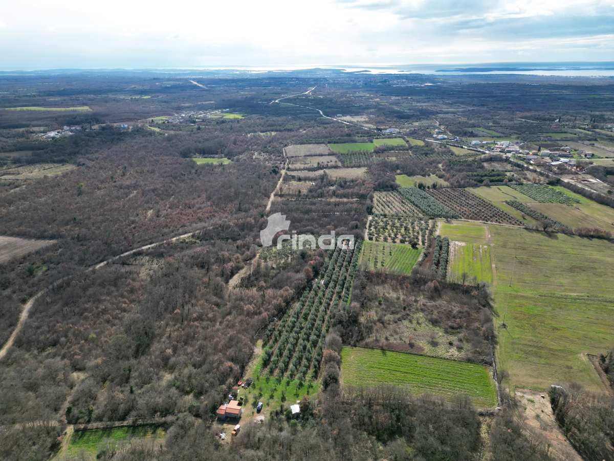 Kmetijsko posestvo z legalizirano hišo - 12.000 m2 + (36 m2)