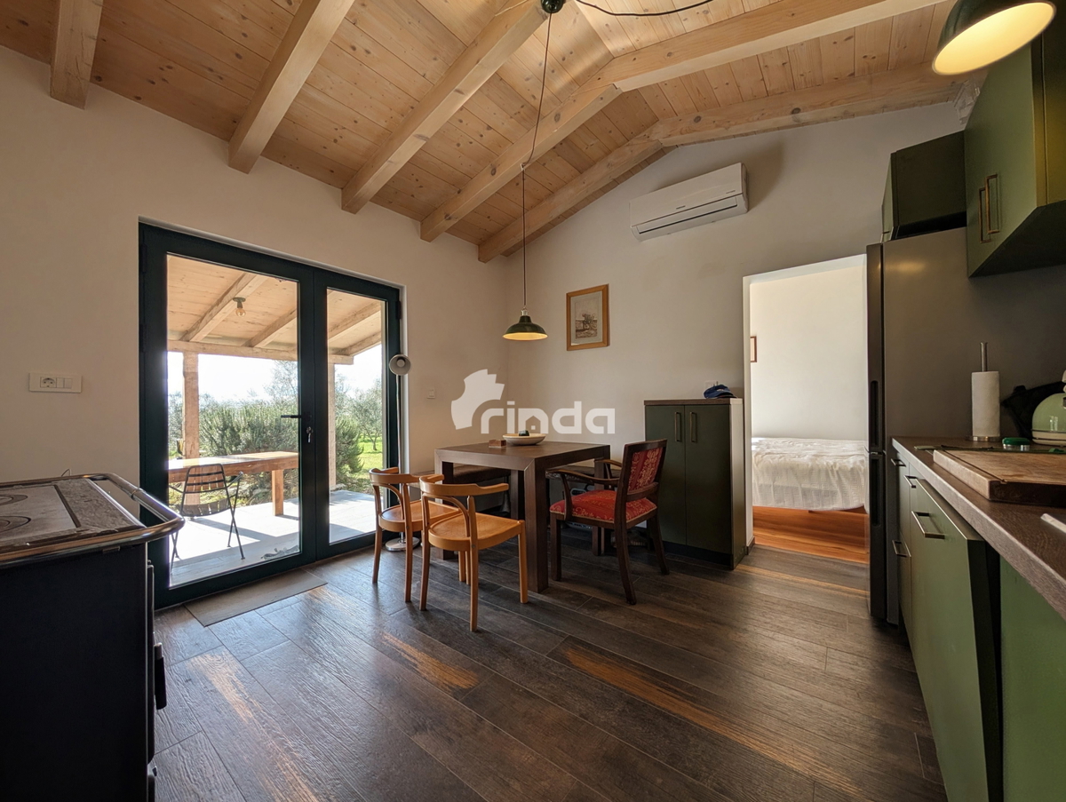 Kmetijsko posestvo z legalizirano hišo - 12.000 m2 + (36 m2)