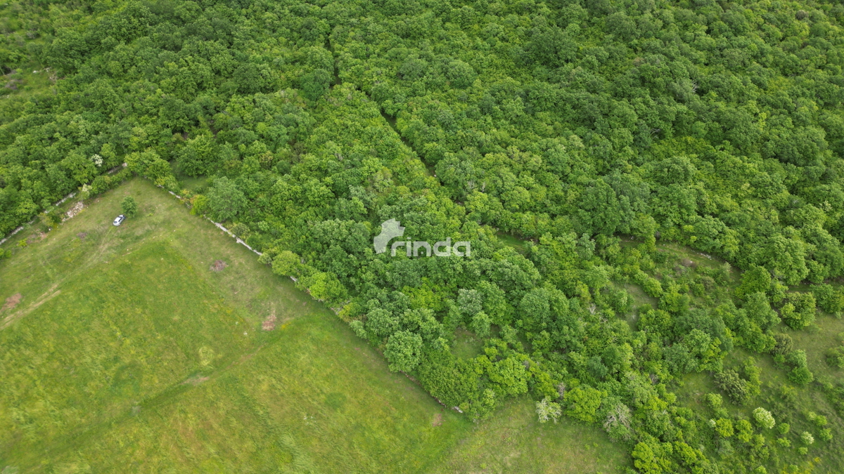 Kmetijski zemljiški kompleks blizu Rovinja - 3.455 m2