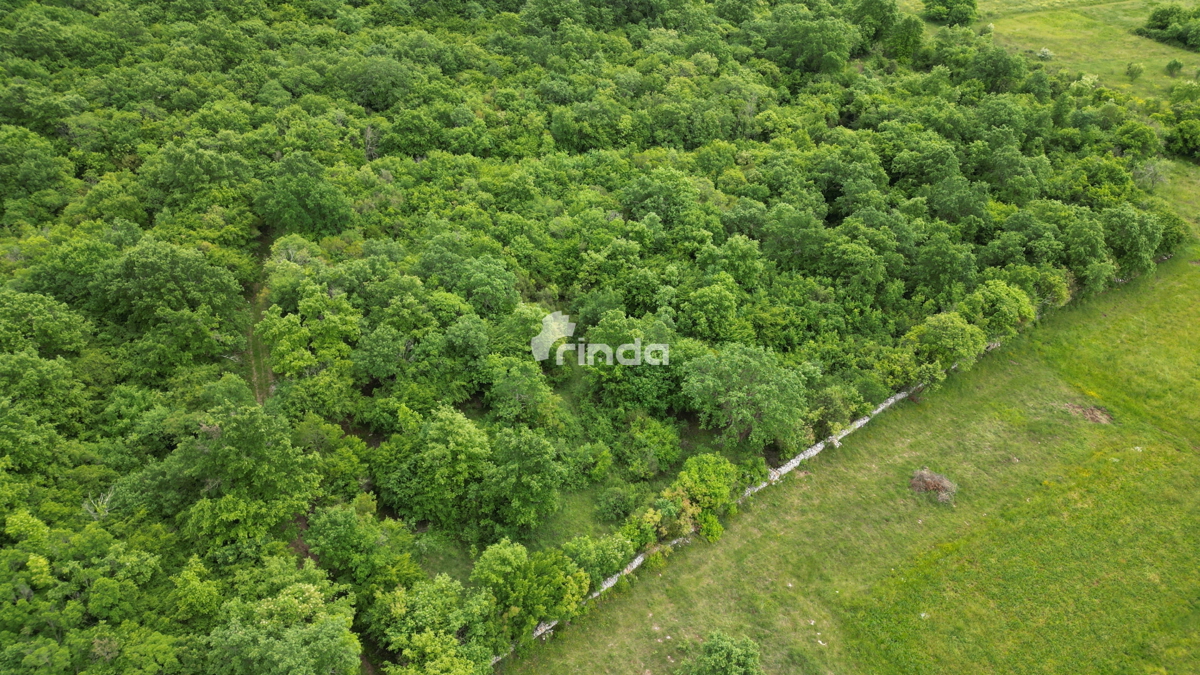 Kmetijski zemljiški kompleks blizu Rovinja - 3.455 m2