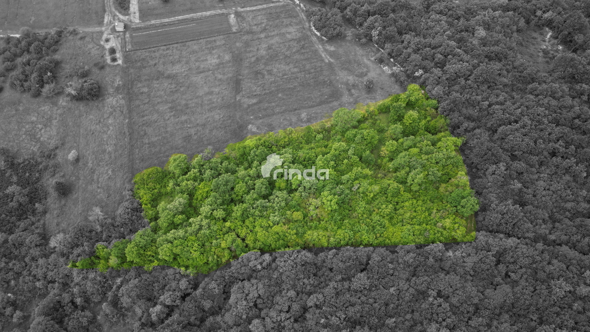 Kmetijski zemljiški kompleks blizu Rovinja - 3.455 m2