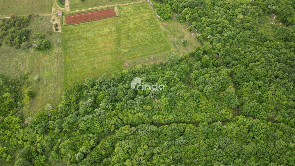 Kmetijski zemljiški kompleks blizu Rovinja - 3.455 m2