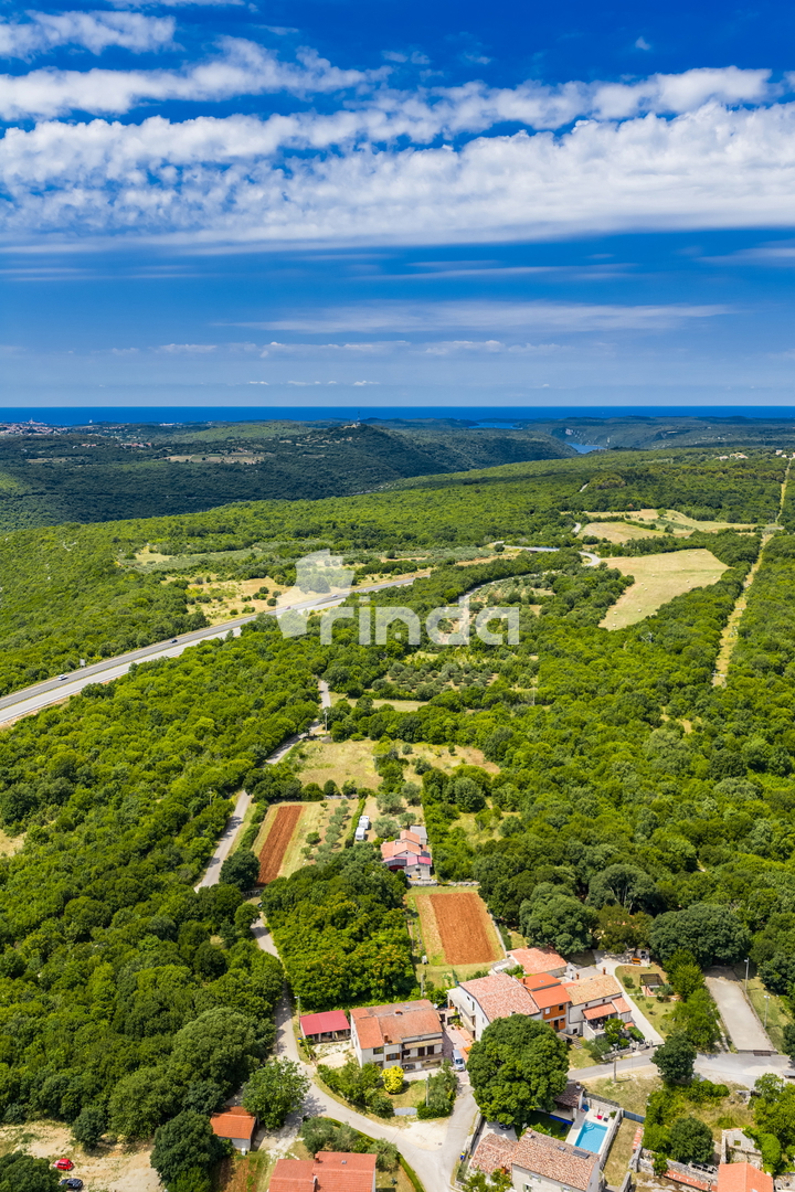Istrska kamnita hiša z oljčnim nasadom - Mrgani - Limskega kanala - 165 m2 + (1.350 m2)