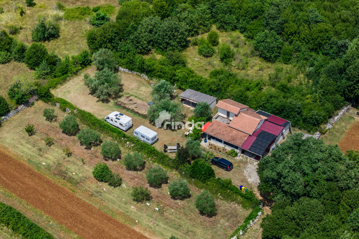 Istrska kamnita hiša z oljčnim nasadom - Mrgani - Limskega kanala - 165 m2 + (1.350 m2)