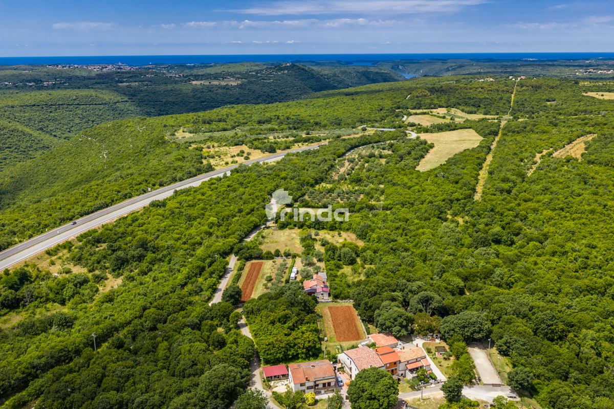 Istrska kamnita hiša z oljčnim nasadom - Mrgani - Limskega kanala - 165 m2 + (1.350 m2)