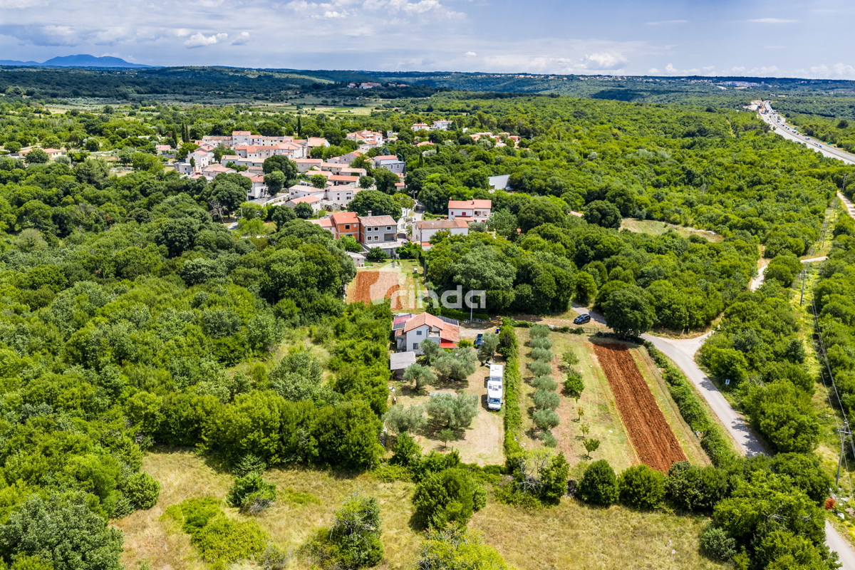 Istrska kamnita hiša z oljčnim nasadom - Mrgani - Limskega kanala - 165 m2 + (1.350 m2)