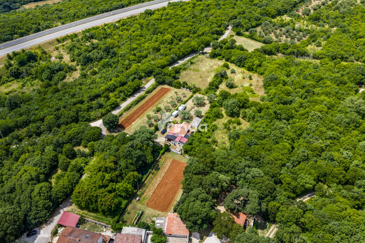 Istrska kamnita hiša z oljčnim nasadom - Mrgani - Limskega kanala - 165 m2 + (1.350 m2)