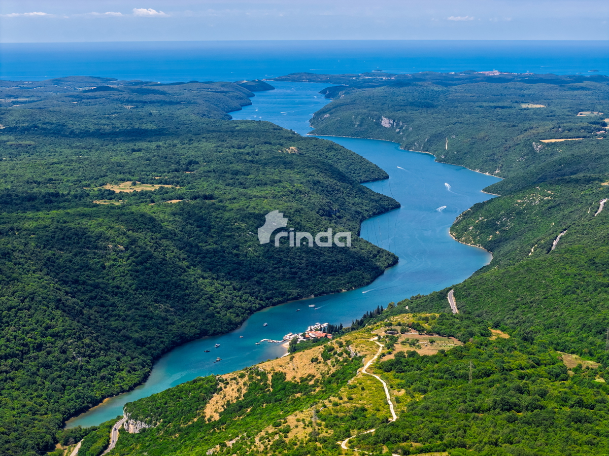 Istrska kamnita hiša z oljčnim nasadom - Mrgani - Limskega kanala - 165 m2 + (1.350 m2)