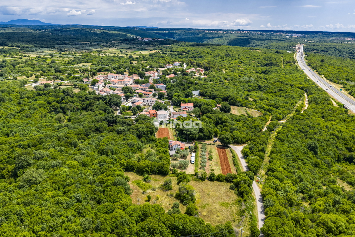 Istrska kamnita hiša z oljčnim nasadom - Mrgani - Limskega kanala - 165 m2 + (1.350 m2)