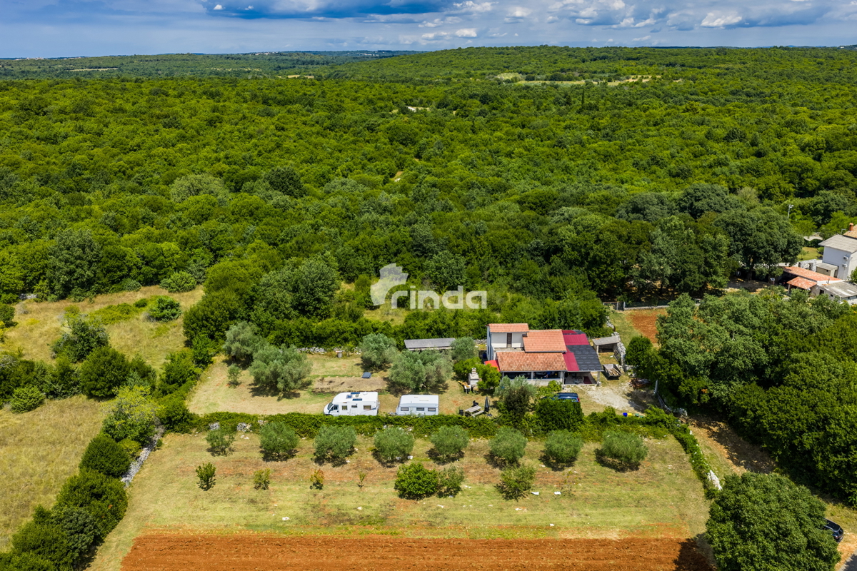 Istrska kamnita hiša z oljčnim nasadom - Mrgani - Limskega kanala - 165 m2 + (1.350 m2)
