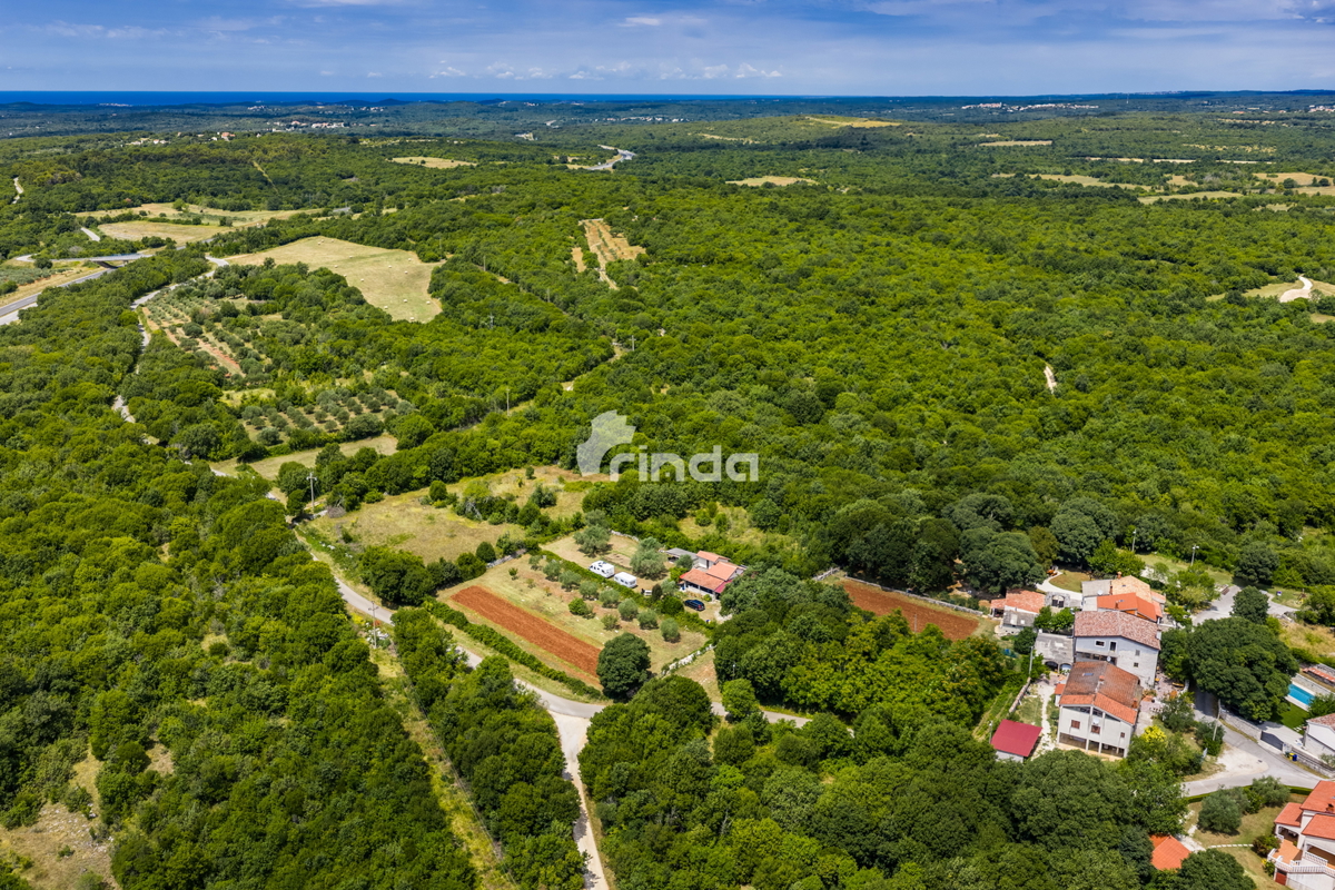 Istrska kamnita hiša z oljčnim nasadom - Mrgani - Limskega kanala - 165 m2 + (1.350 m2)