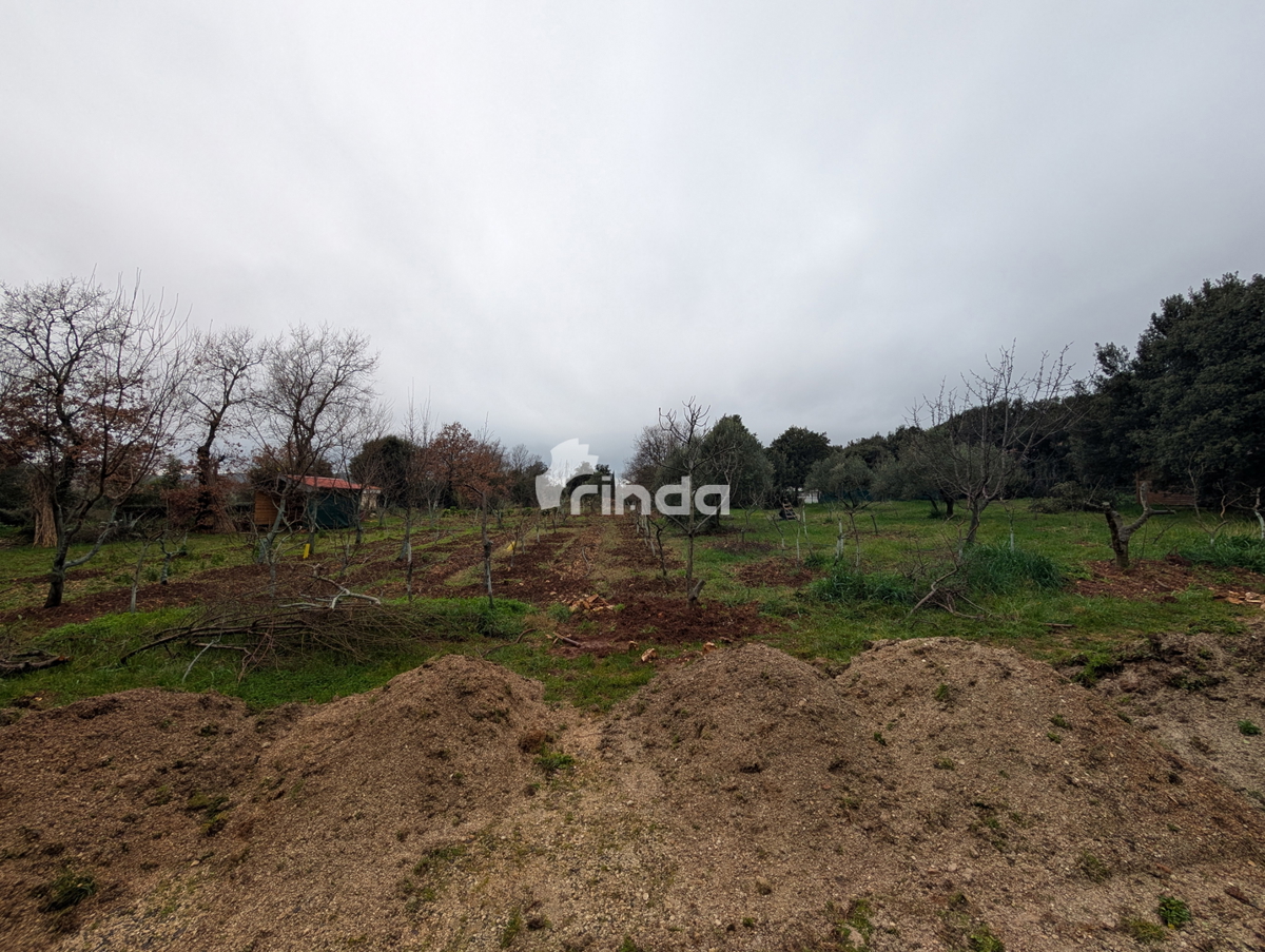 Stancija - Rovinj - 11.000m2 - elektrika + voda + kanalizacija