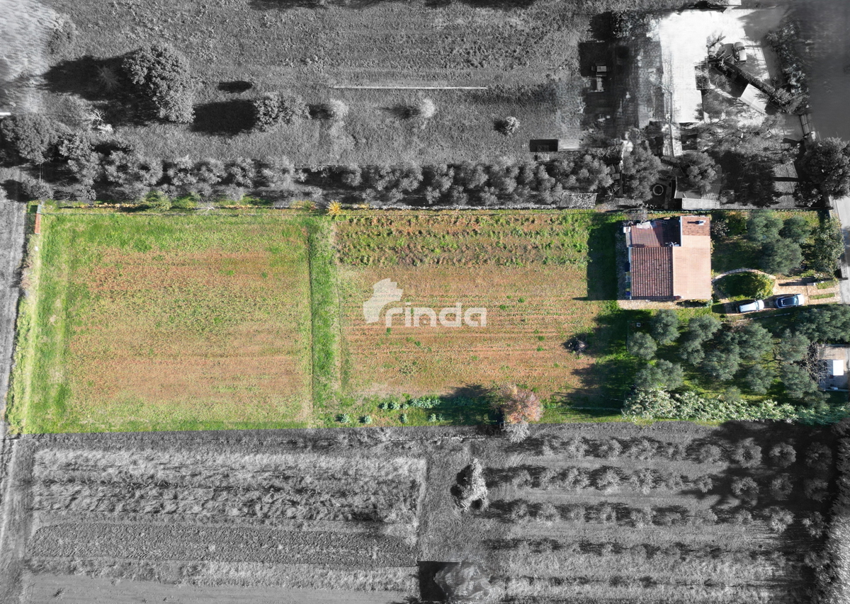 Velika posest na obrobju Rovinja - 125 m2 + (4550 m2)