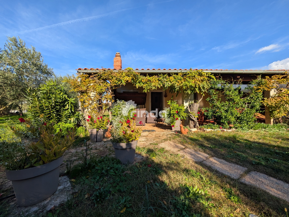 Velika posest na obrobju Rovinja - 125 m2 + (4550 m2)