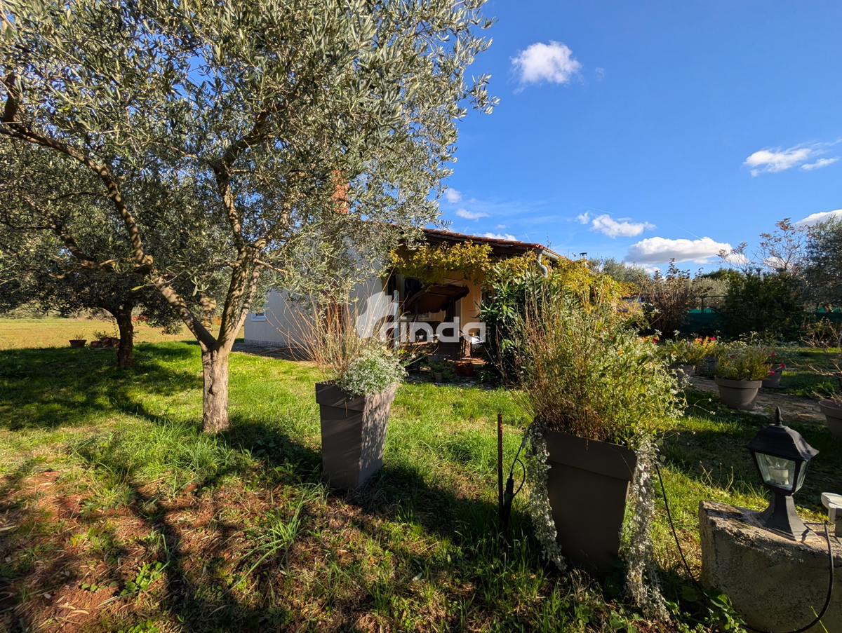 Velika posest na obrobju Rovinja - 125 m2 + (4550 m2)