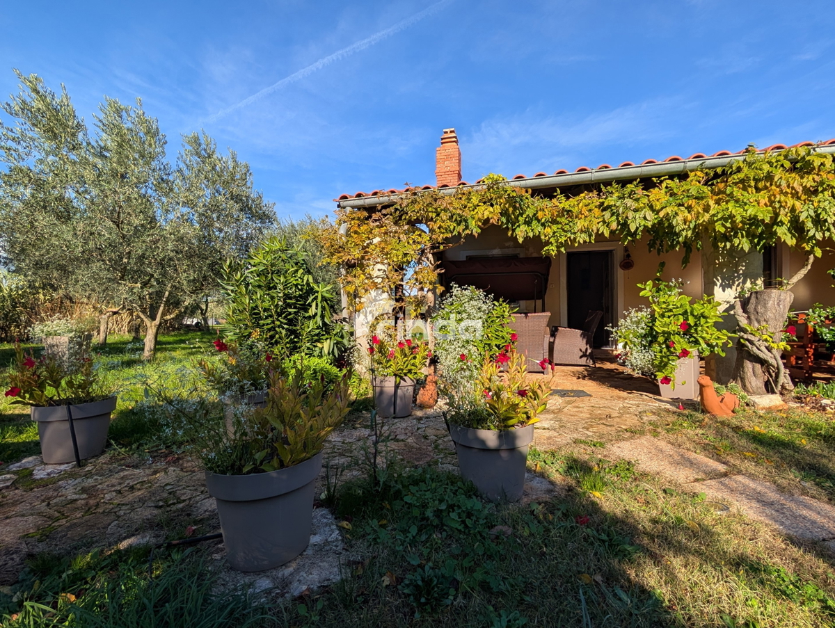 Velika posest na obrobju Rovinja - 125 m2 + (4550 m2)