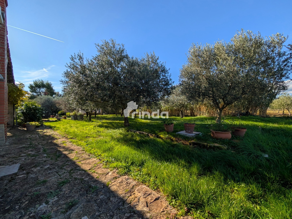 Velika posest na obrobju Rovinja - 125 m2 + (4550 m2)